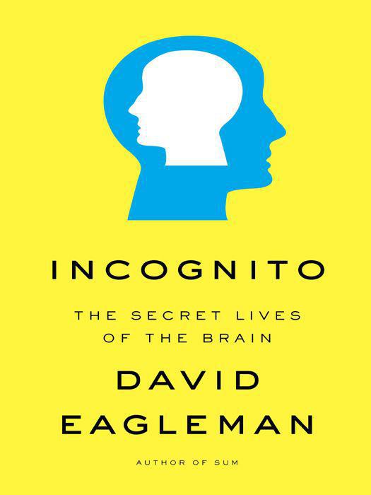 Cover of Incognito